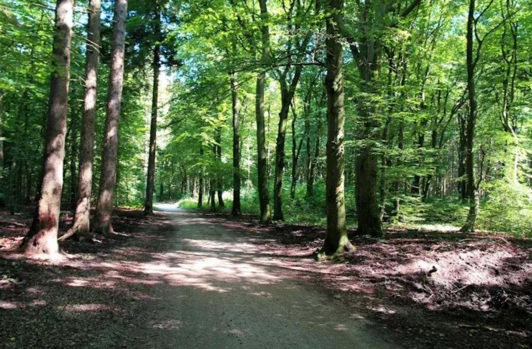 Chalet Harmony Prive Wellness Putten Bagian luar foto